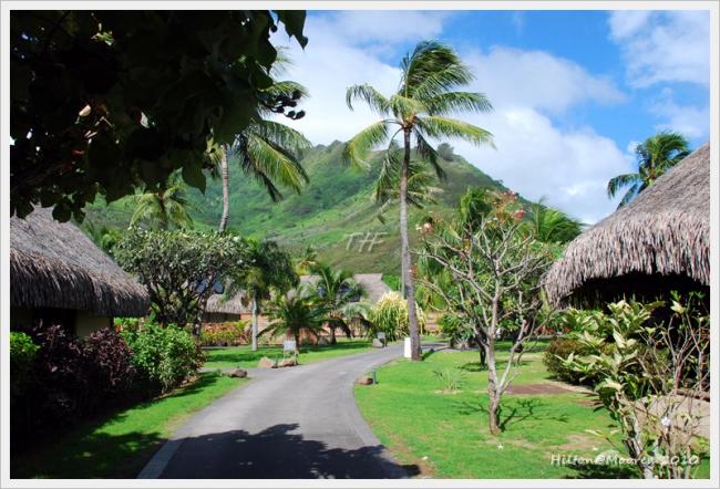 Moorea002.JPG